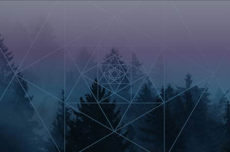 Photoshop Training: Bootcamp